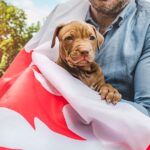 move canada with pets